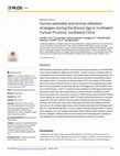 Research paper thumbnail of Human Paleodiet and Animal Utilization Strategies during the Bronze Age in Northwest Yunnan Province, Southwest China