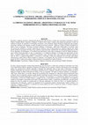 Research paper thumbnail of A imprensa nacional (Brasil, Argentina e Paraguai) e o nexo terrorismo-Tríplice Fronteira em 2018