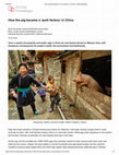 Research paper thumbnail of How the pig became a 'pork factory' in China