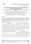 Research paper thumbnail of A Discussion of Acoustical Parameters in Binary Mixtures at different Temperatures: An Ultrasonic Study