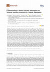 Research paper thumbnail of Understanding Cationic Polymer Adsorption on Mineral Surfaces: Kaolinite in Cement Aggregates