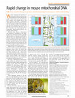 Research paper thumbnail of Mammalian microevolution: Rapid change in mouse mitochondrial DNA