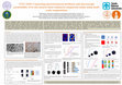 Research paper thumbnail of Connecting microstructural attributes and macroscopic permeability of a natural shear-enhanced compaction band using multiscale computations