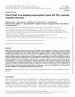 Research paper thumbnail of The CCAAT box-binding transcription factor NF-YA1 controls rhizobial infection