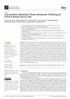 Research paper thumbnail of Glycosylation Modulates Plasma Membrane Trafficking of CD24 in Breast Cancer Cells