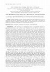 Research paper thumbnail of The Bio-Protective Role of a Biological Encrustation