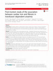 Research paper thumbnail of Post-mortem study of the association between cardiac iron and fibrosis in transfusion dependent anaemia