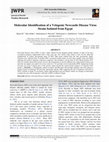 Research paper thumbnail of Molecular Identification of a velogenic Newcastle Disease Virus Strain Isolated from Egypt