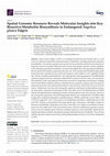 Research paper thumbnail of Spatial Genomic Resource Reveals Molecular Insights into Key Bioactive-Metabolite Biosynthesis in Endangered Angelica glauca Edgew