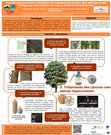 Research paper thumbnail of Caracterização da estrutura populacional de Cryphonectria parasitica para aplicação da luta biológica por hipovirulência: um caso de estudo na Serra da Padrela