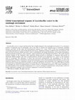 Research paper thumbnail of Global transcriptional response of Lactobacillus reuteri to the sourdough environment