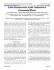 Research paper thumbnail of Labor Remuneration in the Production of Ornamental Plants