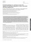 Research paper thumbnail of Periodontal pathogens are a risk factor of oral cavity squamous cell carcinoma, independent of tobacco and alcohol and human papillomavirus