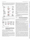 Research paper thumbnail of FRI0551 PERFORMANCE of the 2019 American College of Rheumatology/European League Against Rheumatism Systemic Lupus Erythematosus Classification Criteria