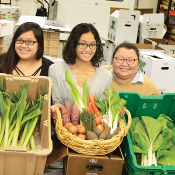 Minnesota Hmong American farmers