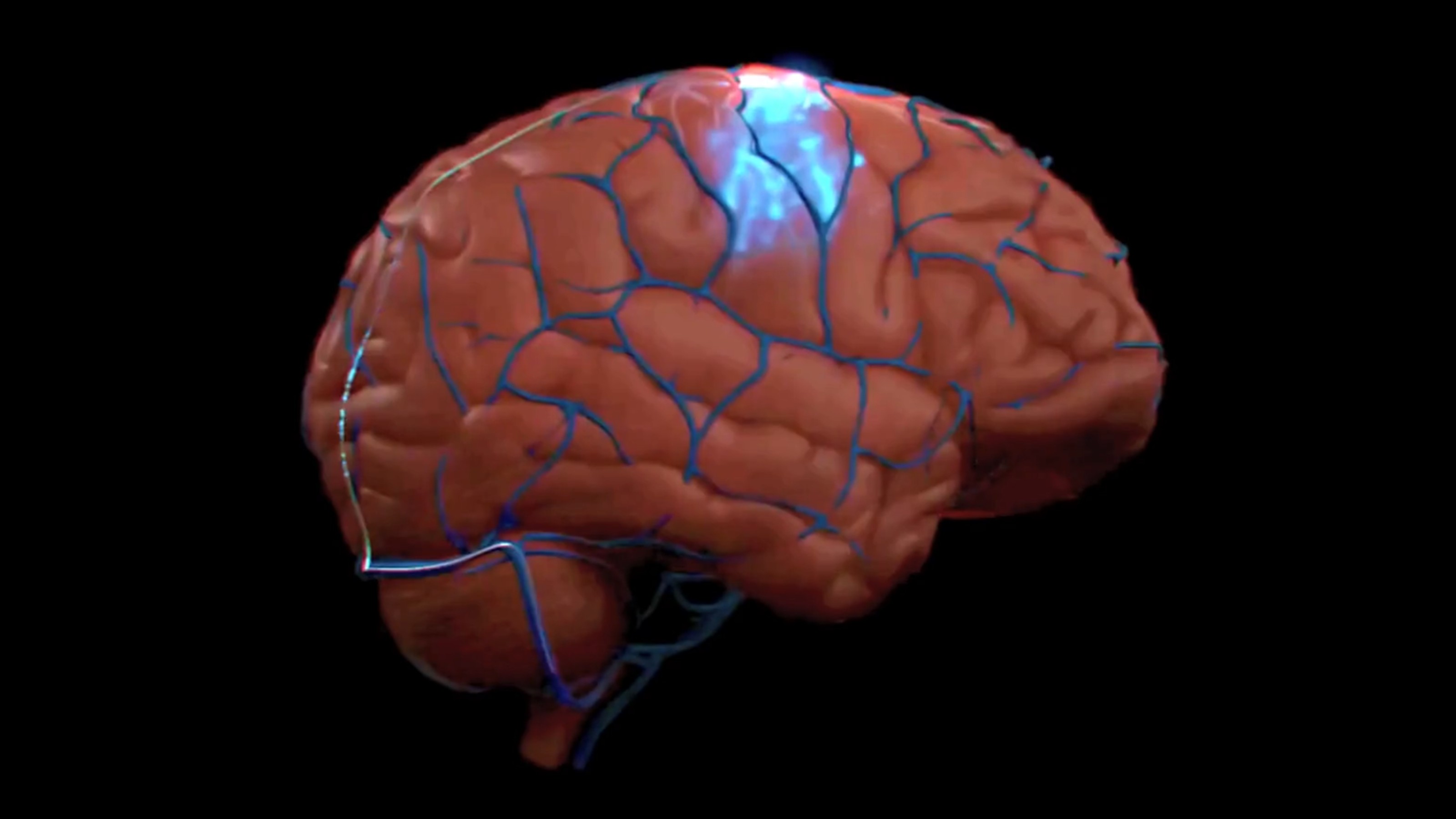 A digital illustration of a human brain with blue veins and a glowing light at the top, set against a black background.