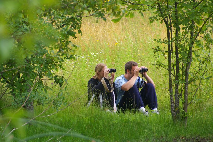 Birdwatching in UBNA