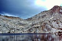 Mount Lyell Salamander Habitat