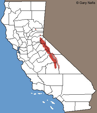 Mount Lyell Salamander Range Map