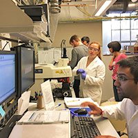 Nathan Dalleska&#x27;s Students in Lab