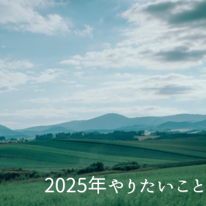 “2025年やりたいことリスト”