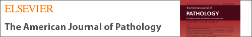 The American Journal of Pathology logo