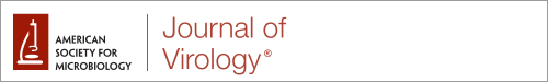 Journal of Virology logo