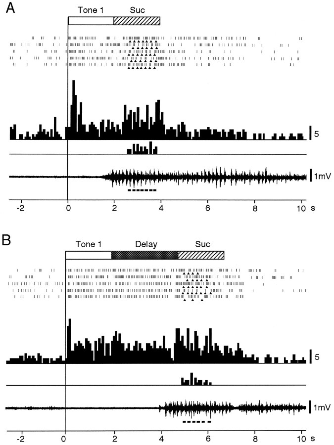 Fig. 10.