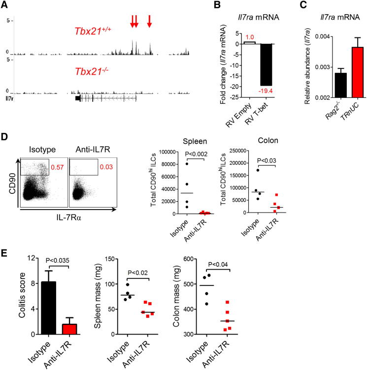 Figure 6