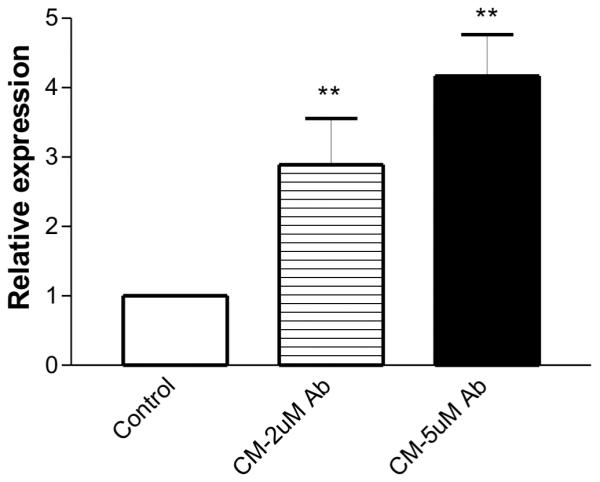 Fig. 4