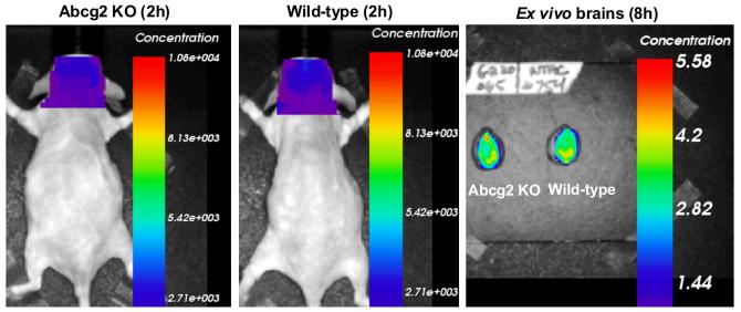 Fig. 7