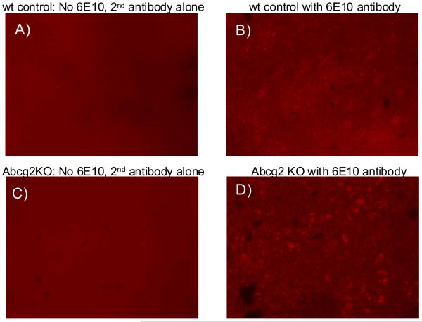 Fig. 10