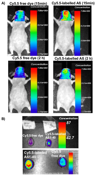 Fig. 9