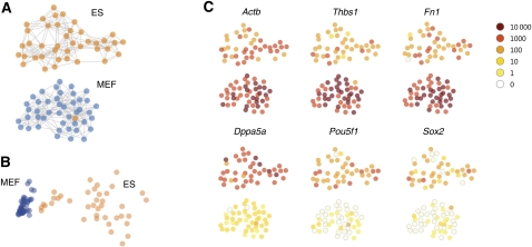 Figure 5.