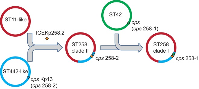 FIG 4 