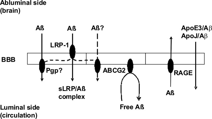 Figure 11.