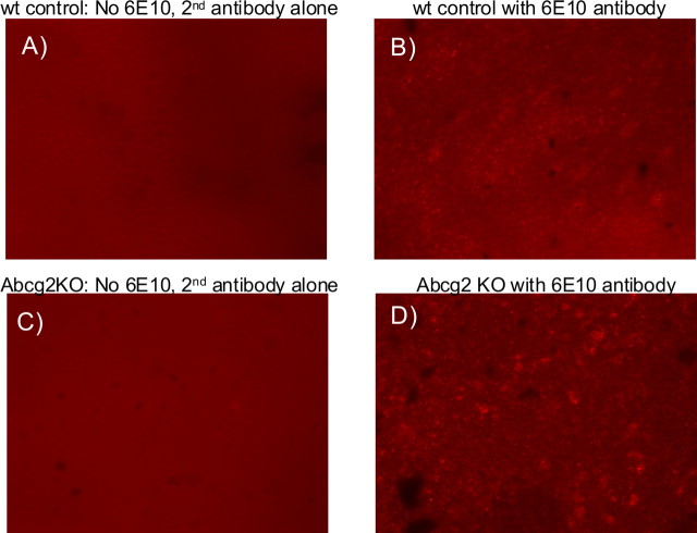 Figure 10.