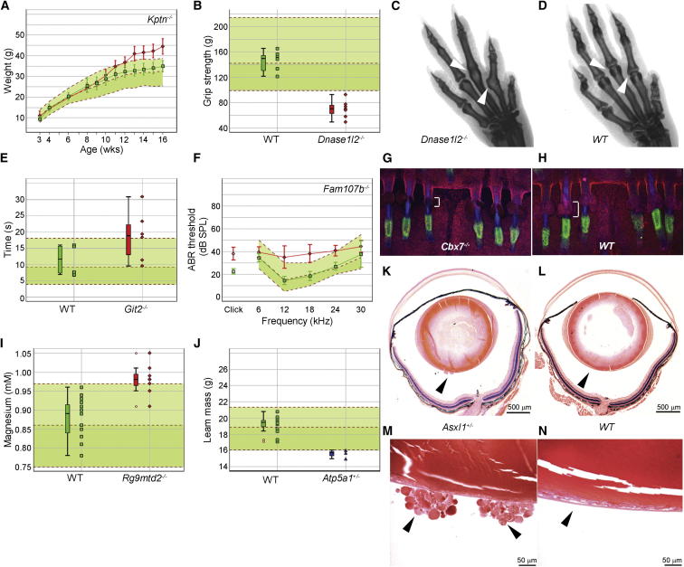 Figure 4