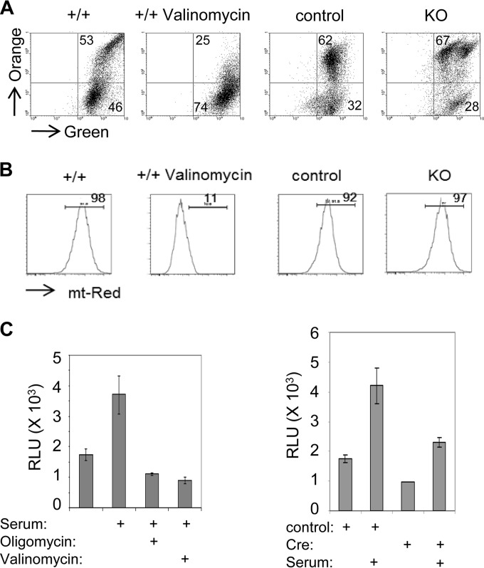 FIG 3