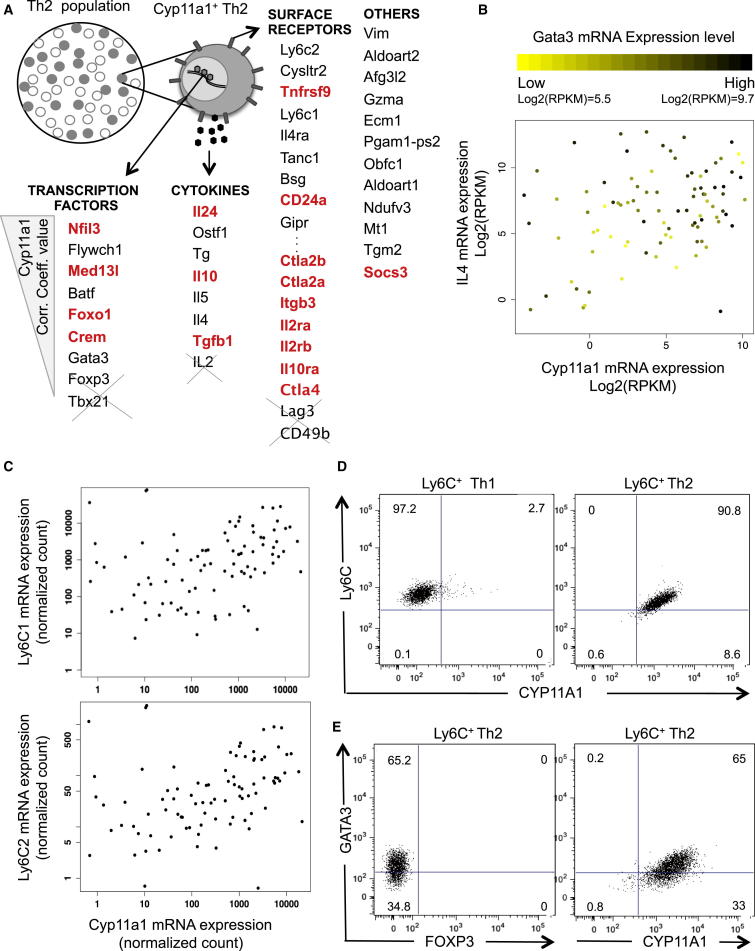 Figure 4