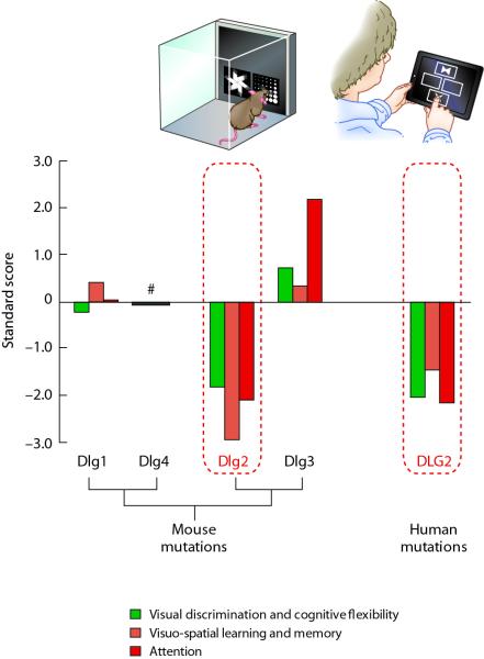 Figure 6