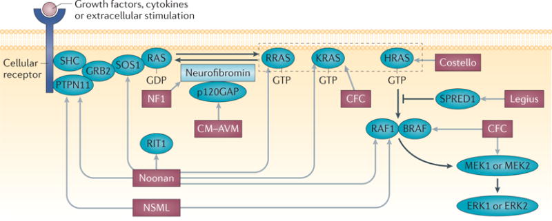 graphic file with name nihms763692f5.jpg