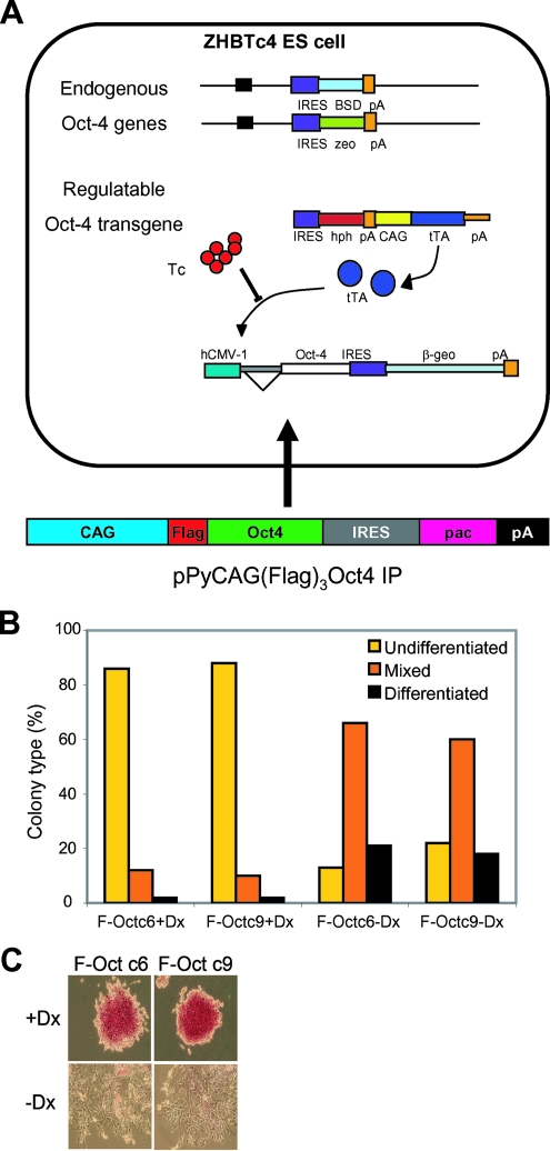 FIG. 1.