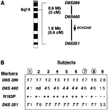 Figure  1