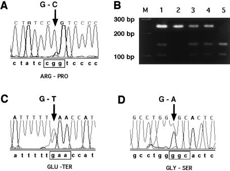 Figure  2