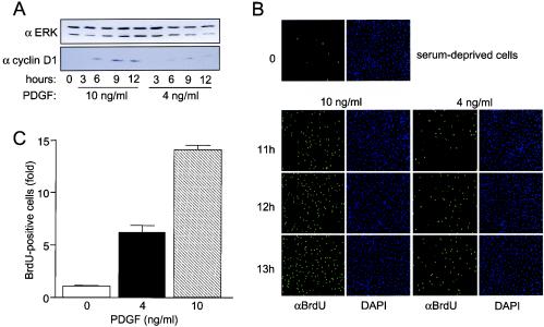 FIG. 6.