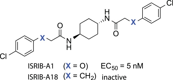 Figure 3—figure supplement 1.