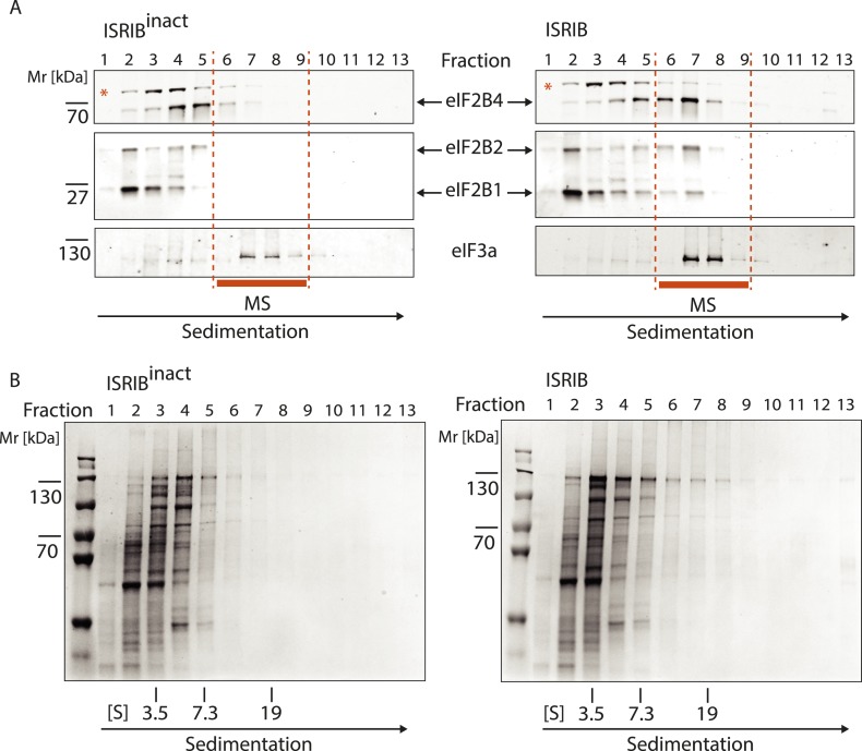 Figure 3—figure supplement 2.