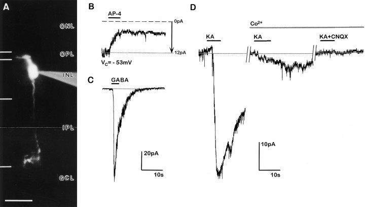 Fig. 4.