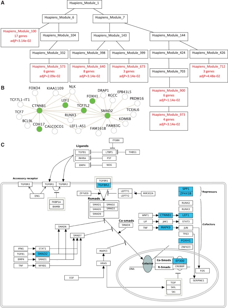 Figure 2.